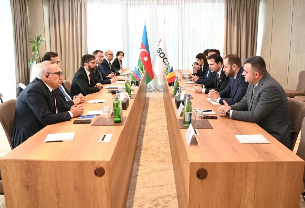Обсуждены вопросы поставок природного газа между SOCAR и Румынией (ФОТО)