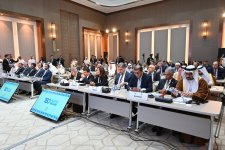 Сахиба Гафарова выступила  на Координационном заседании Азиатской парламентской ассамблеи (ФОТО)