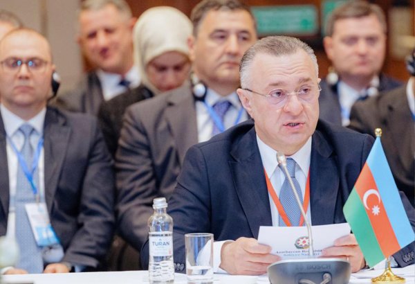 Министр здравоохранения Азербайджана выступил на V заседании министров здравоохранения стран-членов ОТГ (ФОТО)