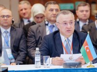 Министр здравоохранения Азербайджана выступил на V заседании министров здравоохранения стран-членов ОТГ (ФОТО)