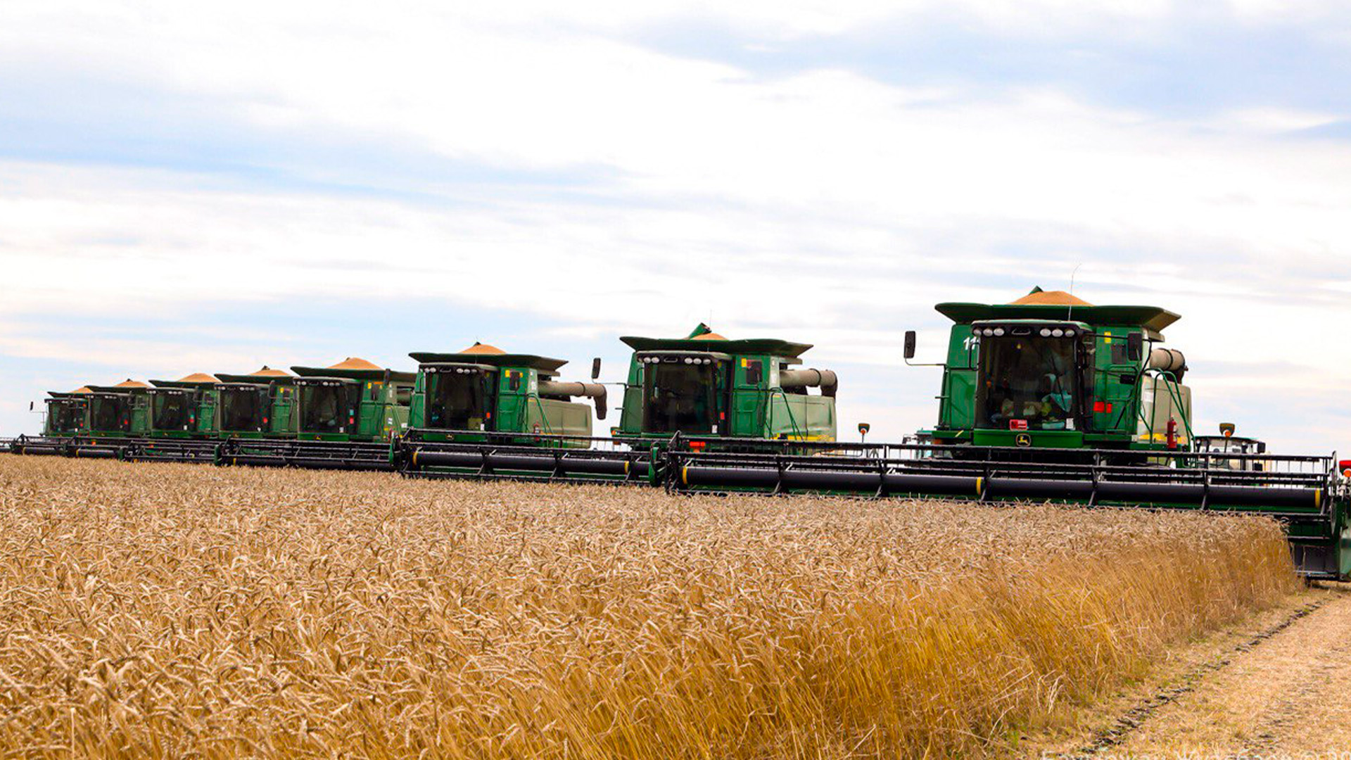 Названо число женщин-фермеров в Азербайджане