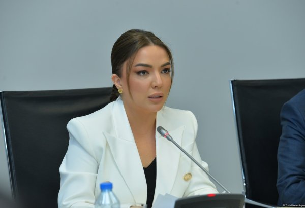 НПО Азербайджана установят новые связи с организациями из стран Глобального Юга - Айгюн Алиева