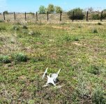 Обезврежен замеченный на госгранице Азербайджана БПЛА (ФОТО)