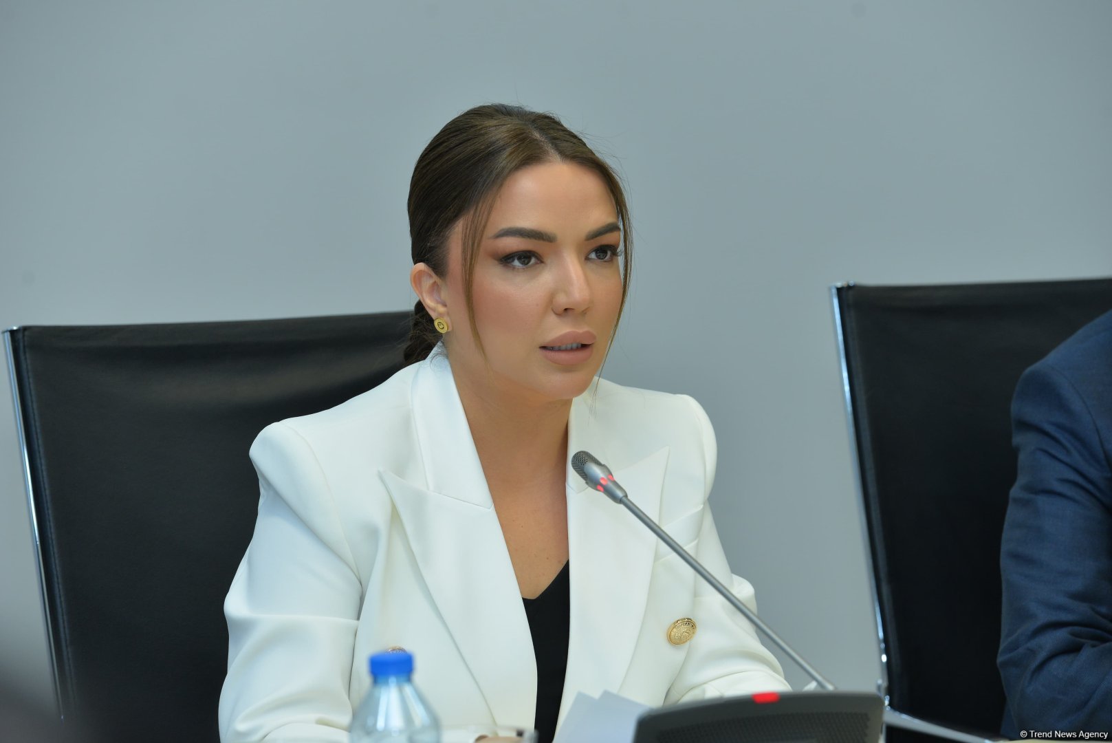 Поддержка проектов, связанных с возвращением в Западный Азербайджан, станет приоритетом грантовых конкурсов 2026 г. - Айгюн Алиева