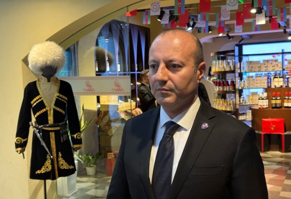 Китайские партнеры инвестировали в торговые дома Азербайджана - Теймур Надироглу