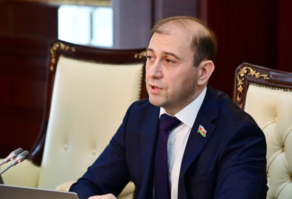 Только азербайджанское государство и народ могут принимать решение о том, ставить ли кому-то памятник в стране - депутат