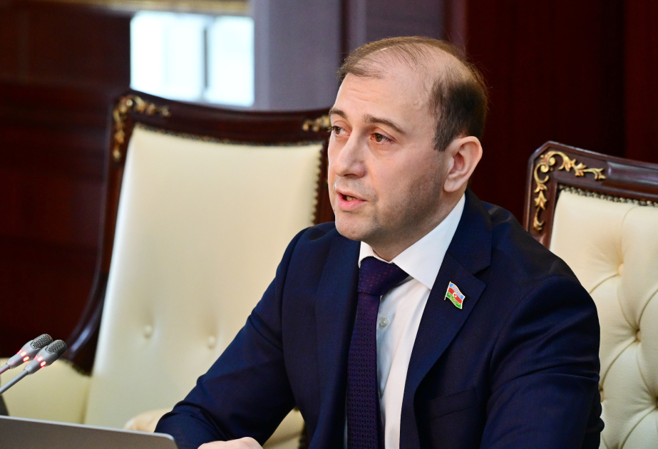 Только азербайджанское государство и народ могут принимать решение о том, ставить ли кому-то памятник в стране - депутат