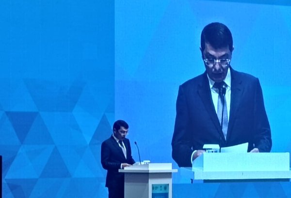 Представители частного сектора должны увеличивать инициативы с целью расширения бизнеса - Эльнур Алиев