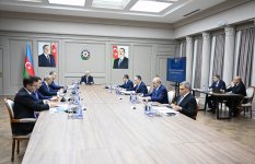 Состоялось заседание Наблюдательного совета Азербайджанского инвестиционного холдинга (ФОТО)