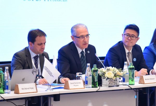 Команды COP29 и COP30 начали работу по разработке  совместной программы