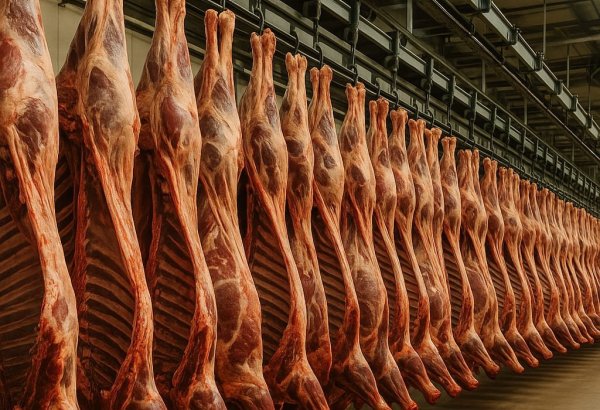 В Азербайджане увеличилось производство мяса в живом весе