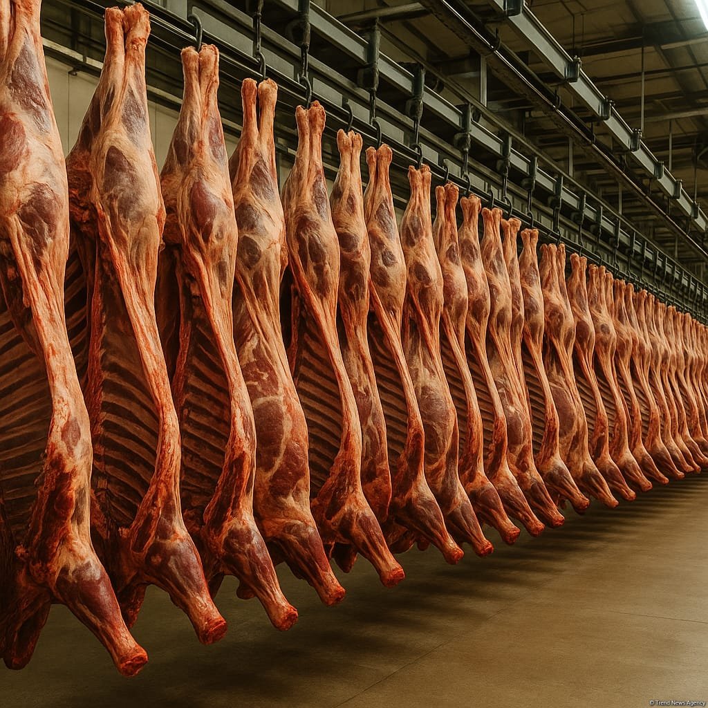 В Азербайджане увеличилось производство мяса в живом весе