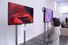 Наши эксклюзивные коллекции ковров пользуются большим успехом –  Эмин Мамедов  (ФОТО)