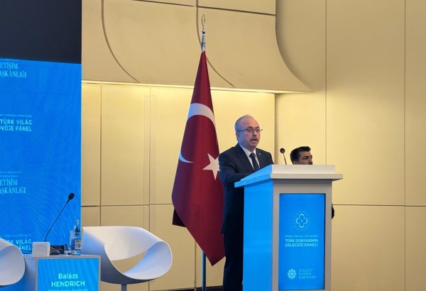 Тюркские государства работают над достижением общих целей - Бирол Акгюн