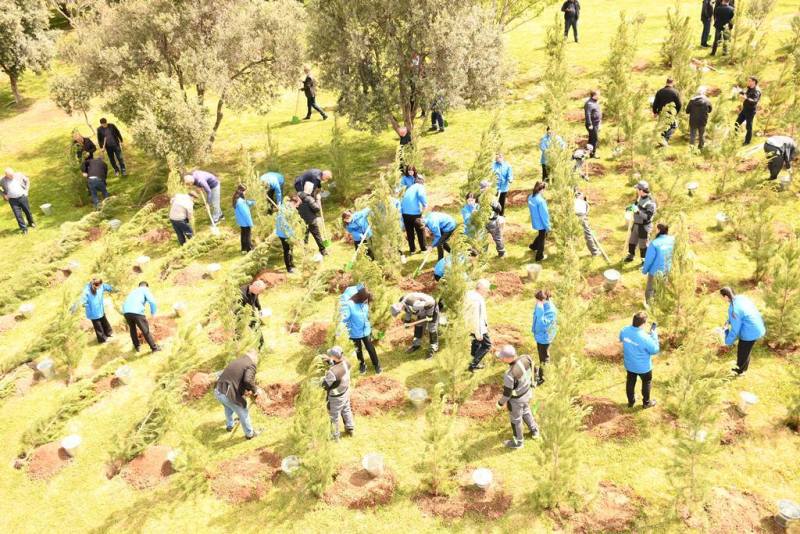 В Баку проведена очередная акция по посадке деревьев (ФОТО)