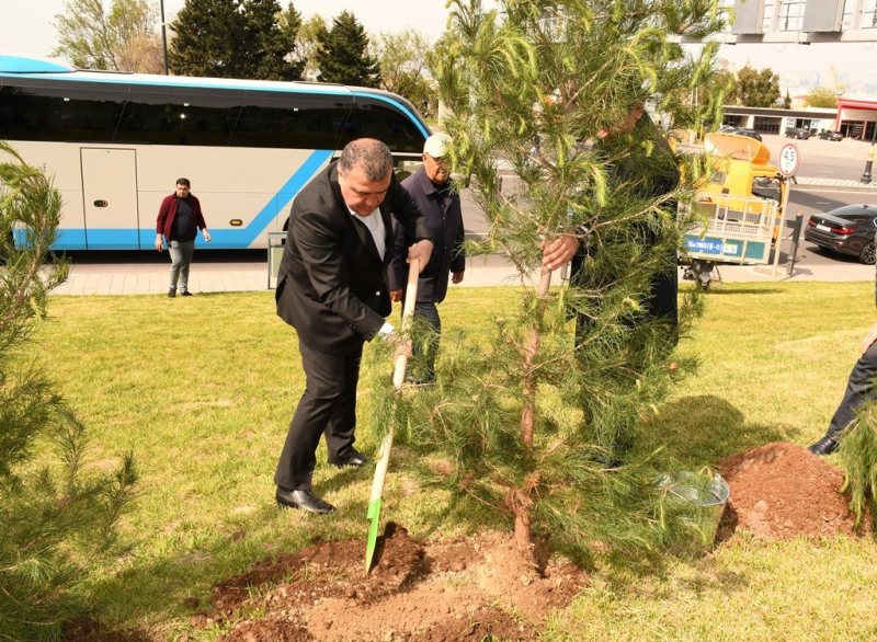 В Баку проведена очередная акция по посадке деревьев (ФОТО)