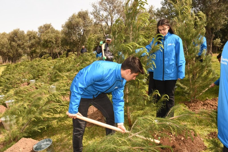 В Баку проведена очередная акция по посадке деревьев (ФОТО)