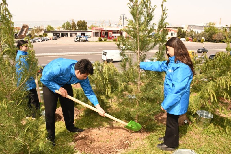 В Баку проведена очередная акция по посадке деревьев (ФОТО)