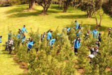 В Баку проведена очередная акция по посадке деревьев (ФОТО)