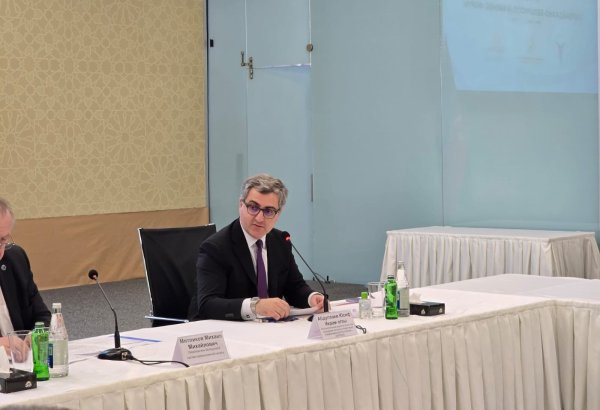 Азербайджан выходит на новый уровень в сфере инвестиций и экспорта - AZPROMO