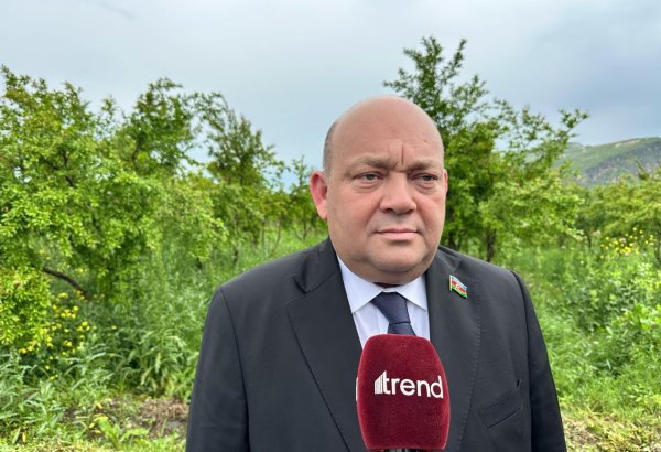 Совместно с белорусскими компаниями Гянджинский автозавод ежегодно производит до 800 тракторов - Ханлар Фатиев