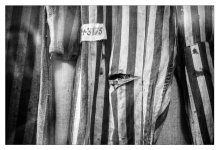 Аушвиц глазами Майи Багировой: Я всегда боялась посещать такие места… (ФОТО)