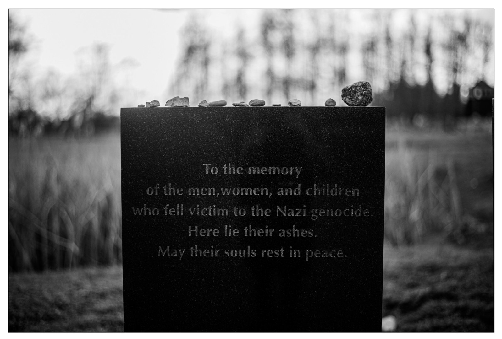 Аушвиц глазами Майи Багировой: Я всегда боялась посещать такие места… (ФОТО)