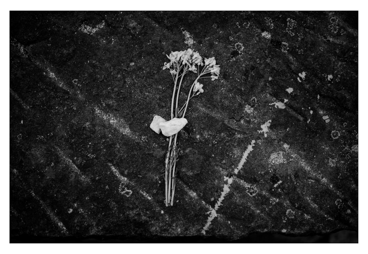 Аушвиц глазами Майи Багировой: Я всегда боялась посещать такие места… (ФОТО)