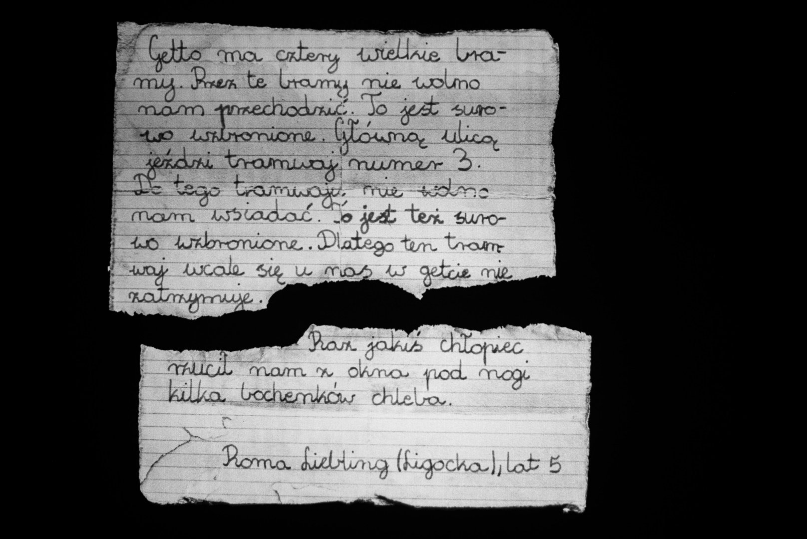 Аушвиц глазами Майи Багировой: Я всегда боялась посещать такие места… (ФОТО)