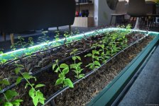 В Баку проходят выставки Caspian Agro и Interfood Azerbaijan (ФОТОРЕПОРТАЖ)
