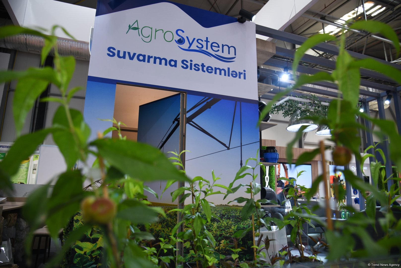 В Баку проходят выставки Caspian Agro и Interfood Azerbaijan (ФОТОРЕПОРТАЖ)