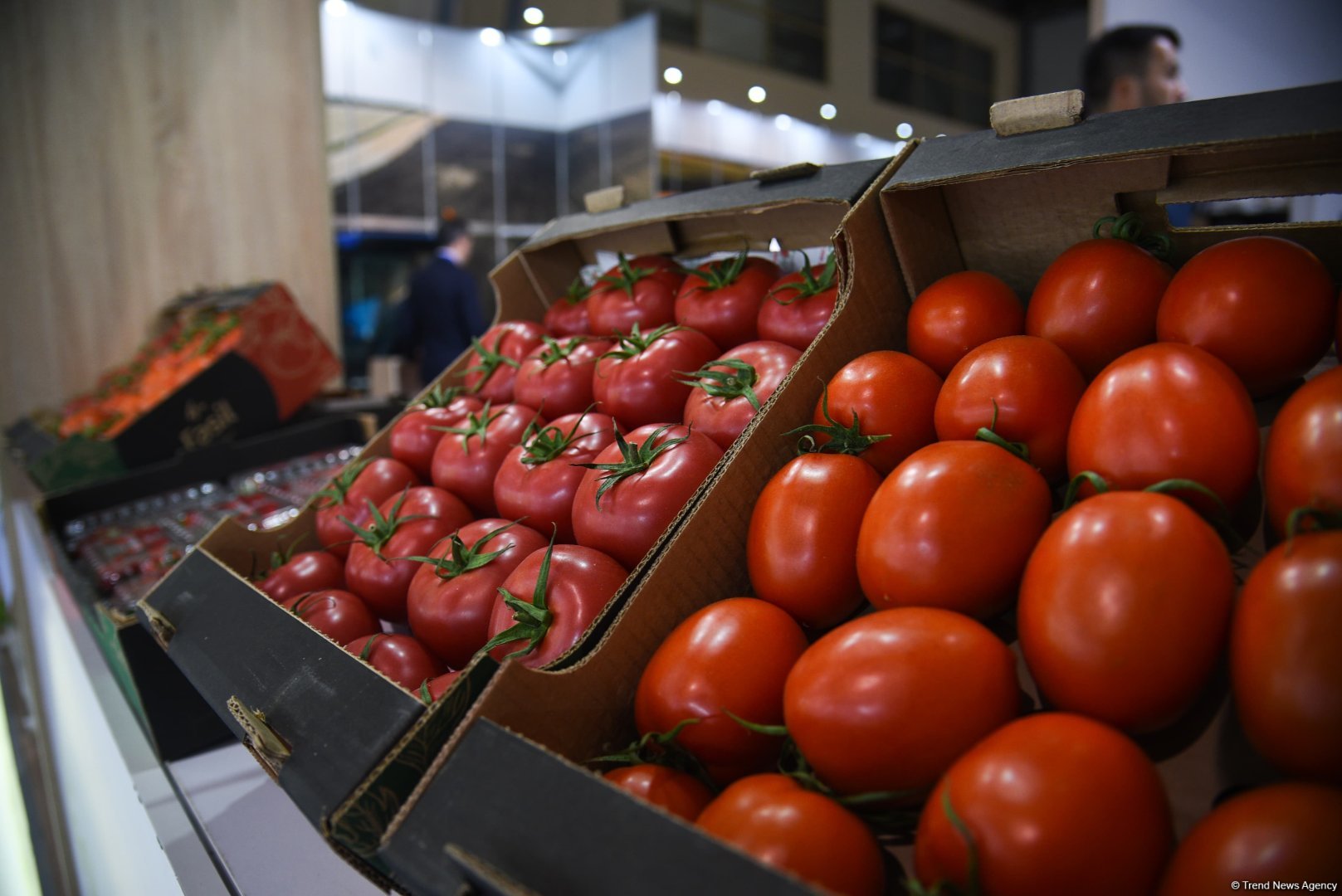 В Баку проходят выставки Caspian Agro и Interfood Azerbaijan (ФОТОРЕПОРТАЖ)