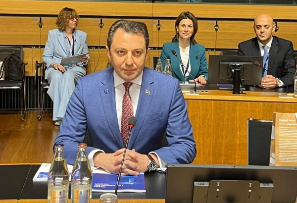 На сессии Совета Европы обсуждены мирные инициативы Азербайджана (ФОТО)