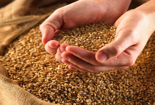 Азербайджан увеличил расходы на импорт пшеницы