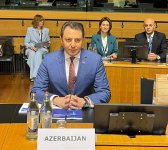 На сессии Совета Европы обсуждены мирные инициативы Азербайджана (ФОТО)