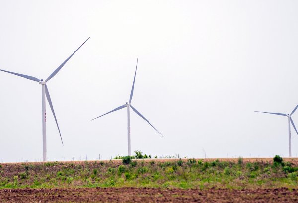 "Зеленые" инициативы Азербайджана открывают для Siemens Energy новые возможности для сотрудничества