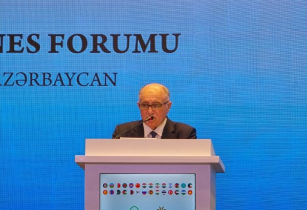 Более 90% рабочих мест, открытых в Азербайджане в 2024 году, созданы частным сектором - Мамед Мусаев