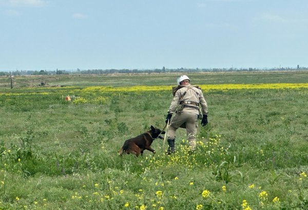 Названо количество мин, обезвреженных на освобожденных территориях Азербайджана в июне (ФОТО)