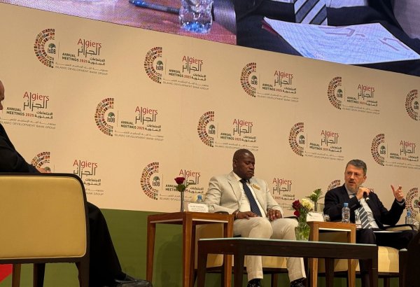 Диверсификация экспорта — стратегический приоритет для стран-членов IsDB  - глава ITFC