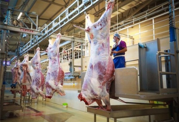 Назван объем производства мяса в Азербайджане