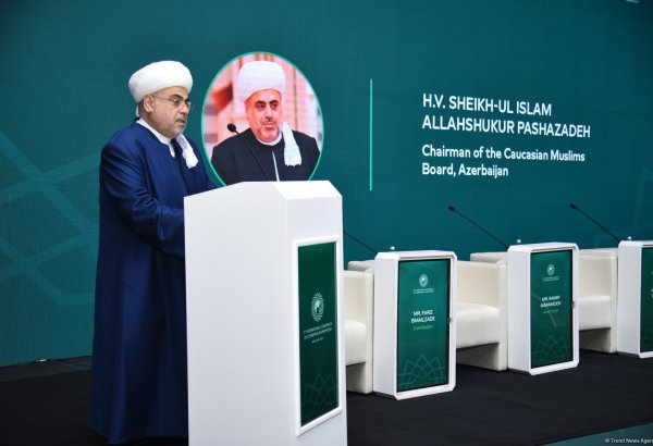 Необходимо бороться с теми, кто использует ислам в политических целях - Аллахшукюр Пашазаде