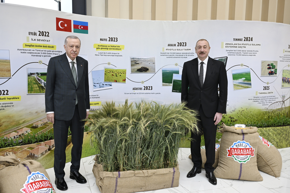 Президент Ильхам Алиев и Реджеп Тайип Эрдоган приняли участие в церемонии открытия Лачинского международного аэропорта (ФОТО/ВИДЕО)