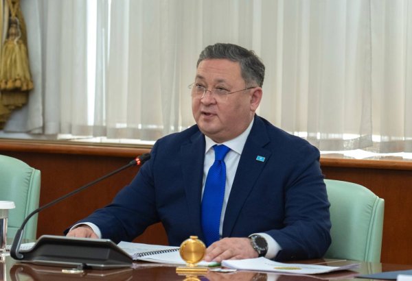 Правительство Казахстана опровергло слухи о задержании главы МИД
