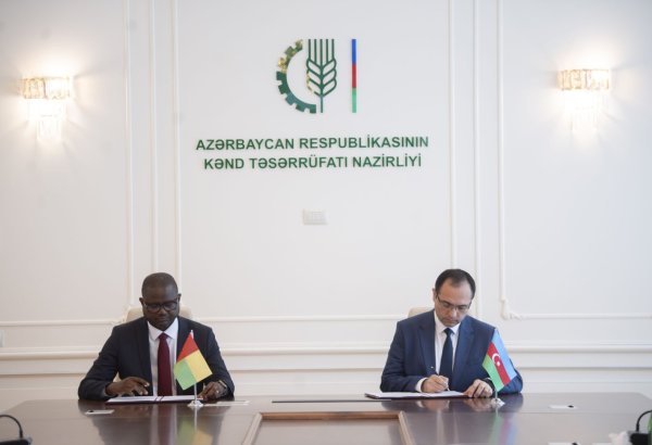 Между Азербайджаном и Гвинеей-Бисау подписан меморандум  в области сельского хозяйства