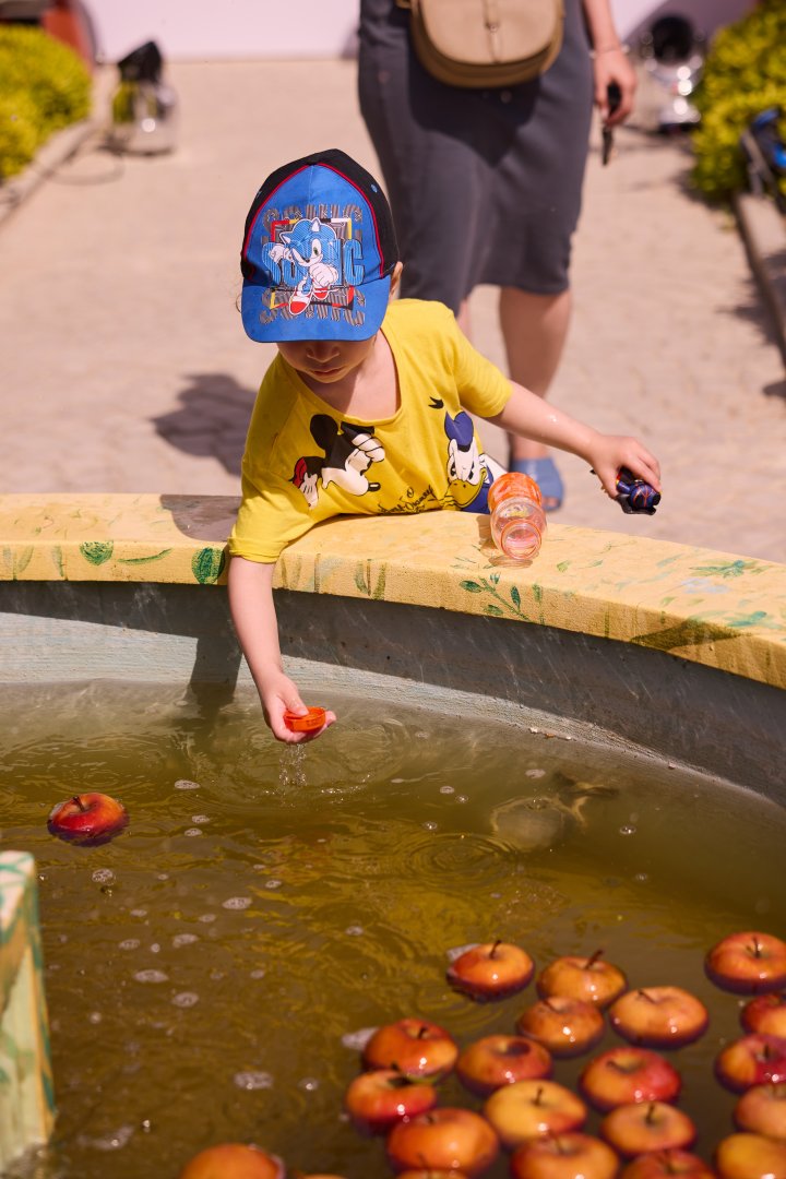 В Баку прошел весенний фестиваль Force of Love (ФОТО)