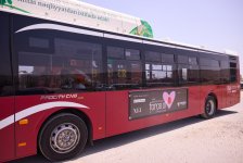 В Баку прошел весенний фестиваль Force of Love (ФОТО)