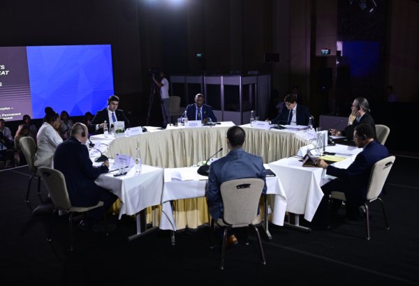 Принята Бакинская декларация о научных обязательствах в вопросах деколонизации и репараций