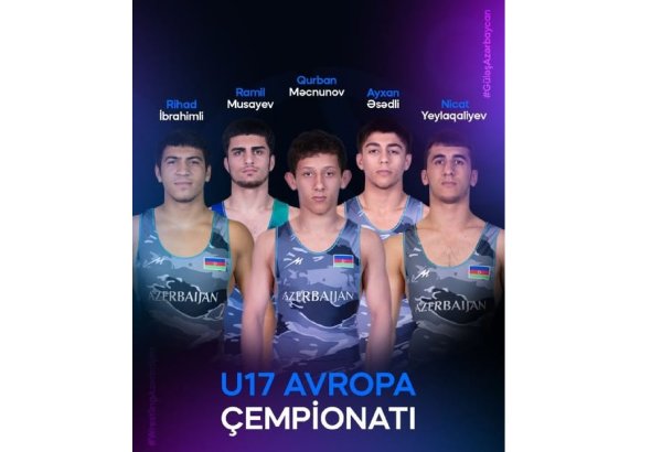 Азербайджанский борец вышел в финал чемпионата Европы