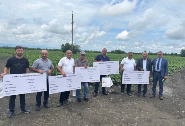 В Азербайджане впервые осуществлены страховые выплаты в табачной отрасли