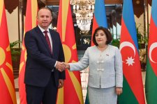Обсуждены парламентские связи между Азербайджаном и Северной Македонией (ФОТО)